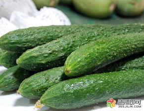 长春网红刘祉辰吃瓜,吃瓜成瘾，揭秘娱乐圈幕后风云  第3张